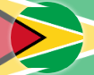Сборная Гайаны по футболу