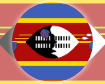 Сборная Свазиленда по футзалу