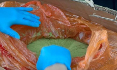 У детского тренера в Казахстане нашли 40 килограммов гашиша