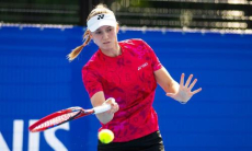 WTA отреагировала на историческое достижение Елены Рыбакиной