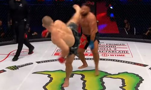 Эффектным нокаутом закончился бой российского бойца в Bellator. Видео