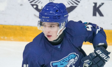 Нападающий «Снежных Барсов» провел 50 матчей в МХЛ