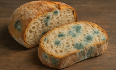 Стало известно, можно ли есть заплесневелый хлеб