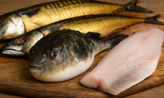 Угроза отравления. Врач назвала рыбу, которую ни в коем случае нельзя употреблять