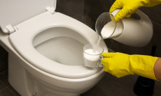 Найден необычный способ сделать унитаз идеально чистым