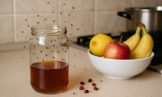 Как избавиться от мелких мошек на кухне