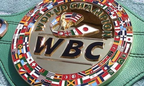 WBC назначил бой за звание «абсолюта»