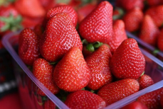 Раскрыто золотое правило при выборе клубники