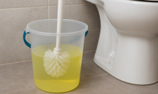 Во что окунуть ершик, чтобы он стал лучше чистить унитаз — заодно появится приятный запах