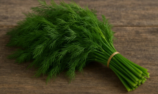Такой полезный укроп — кому принесет только пользу, а кому эту зелень нельзя