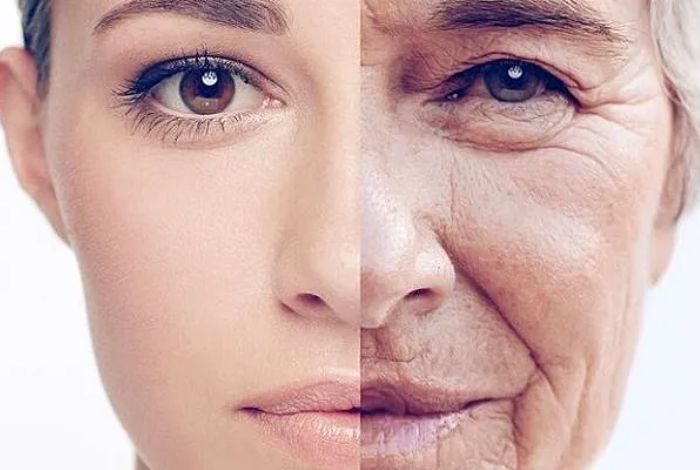 Ученые рассказали, что замедляет старение организма