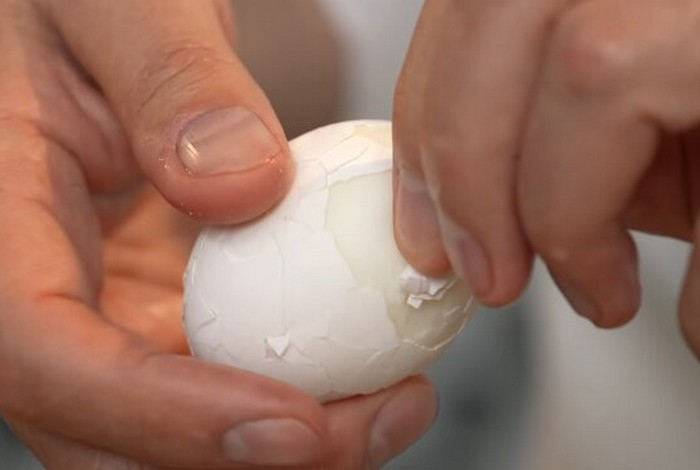 Как сварить яйца без воды — назван неожиданный способ