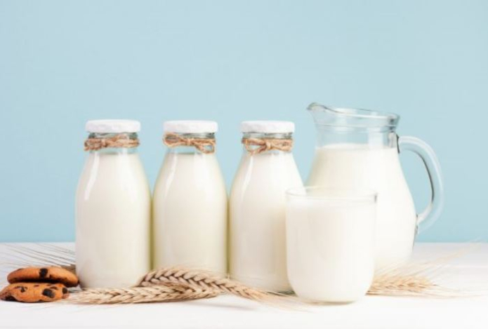 Врач назвала самое полезное молоко — в нем больше всего кальция и белка