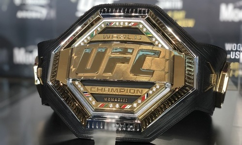 Казахстанскому бойцу «открыли» путь к титулу чемпиона UFC