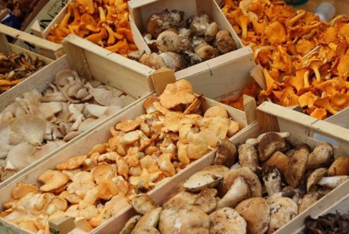 Назван супер-полезный вид грибов — покупайте, если видите. Богат на железо, калий, медь, витамин D2 и даже В12, В3