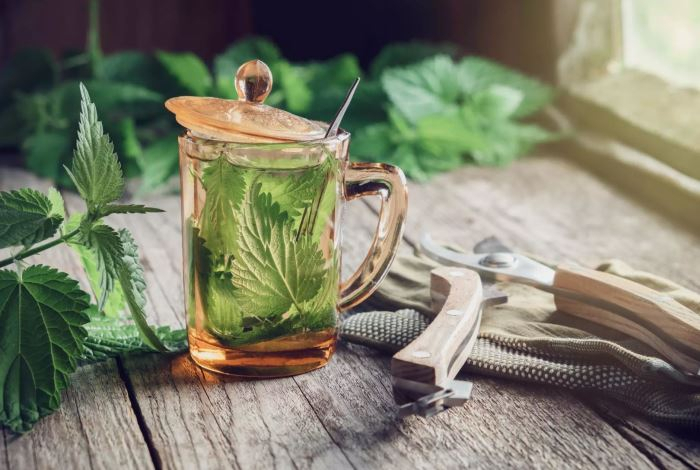 Назван самый полезный травяной чай — помогает лечить рак простаты и молочной железы. Снижает уровень глюкозы в крови