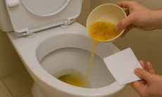 Можно ли на самом деле выбрасывать туалетную бумагу и выливать суп в унитаз — удивитесь, когда узнаете