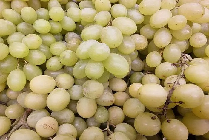 Как употребление винограда влияет на организм человека