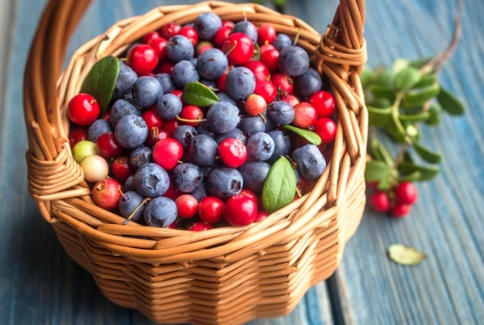 Эти три «чудо-ягоды» признаны самыми полезными — продлевают жизнь. Содержат витамин С, защищают сосуды и сердце