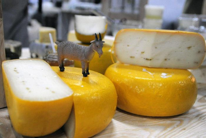 Эксперт назвал лучший способ хранения сыра