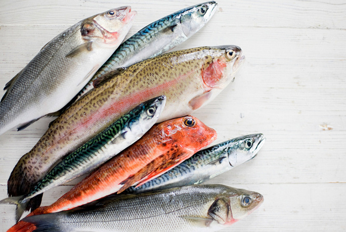 Перечислены десять видов рыбы, которые лучше не есть