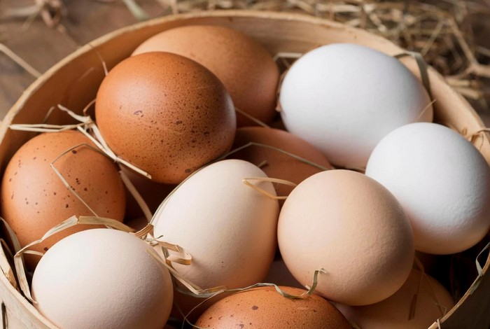 Влияет ли цвет яиц на их полезные свойства? Ответ учёных