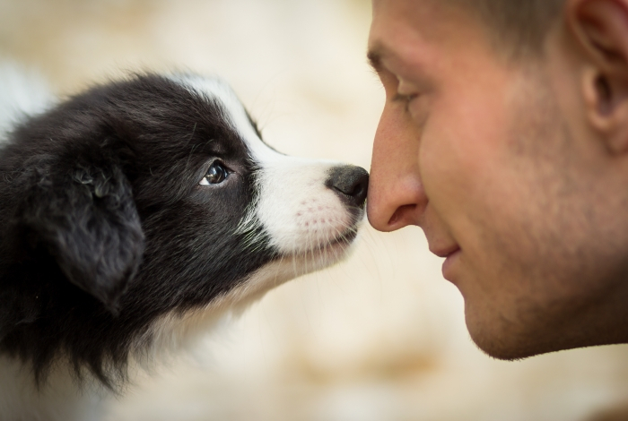 Ученые выявили особенности людей, которые любят домашних животных