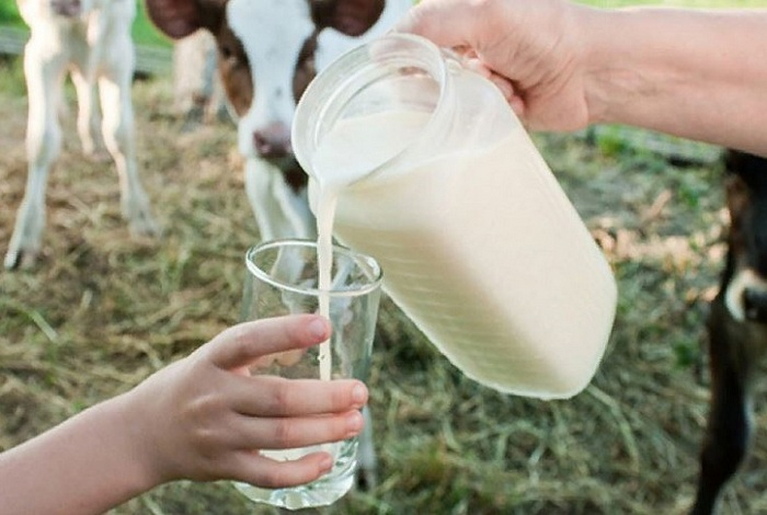 Малышева рассказала, можно ли пить парное молоко