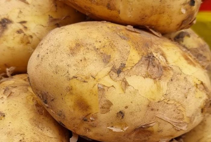 В каком виде картофель самый полезный — вы наверняка не догадывались