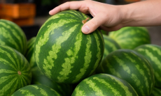 Как выбрать самый спелый арбуз — найден удивительно простой способ