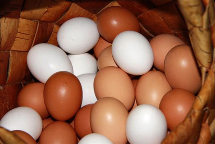 Какие яйца полезнее — коричневые или белые