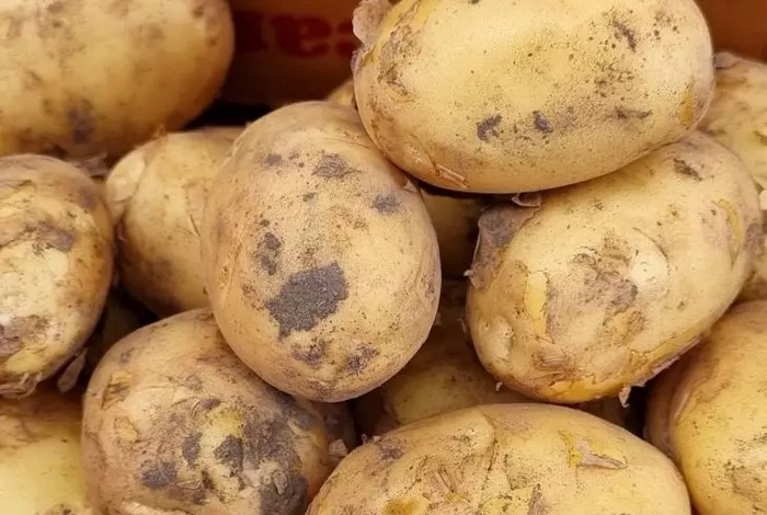 Зачем протирать сантехнику картофелем — результат вас удивит