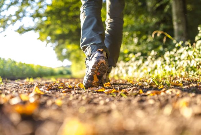 Лучший способ сделать прогулку максимально полезной для здоровья