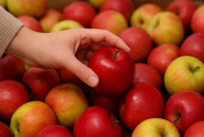 Раскрыт способ определить хрустящие и сладкие яблоки за одну секунду