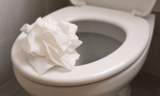 Почему нельзя выбрасывать туалетную бумагу в унитаз