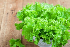 Эта зелень поможет и желудку, и кишечнику — уверен доктор Александр Мясников