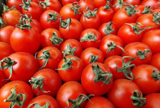 Почему помидоры надо хранить «хвостиком» вверх