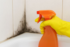 Это средство поможет избавиться от плесени в доме раз и навсегда