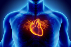 С сердцем больше не будет никаких проблем. Нужно включить в рацион этот вкусный напиток — настоящая панацея для органа