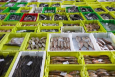 Названа худшая рыба для здоровья — грозит воспалениями, артритом и даже раком. Накапливает в мясе токсины и ртуть