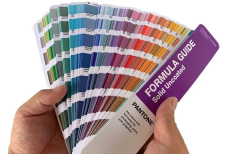 Назван главный цвет 2025 года