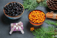 Названа целебная ягода, которую нужно есть зимой. Укрепляет здоровье, повышает иммунитет, очищает ЖКТ от токсинов и шлаков