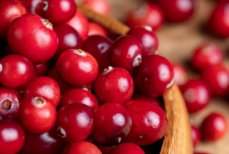 Помогает ли клюквенный сок при спазмах