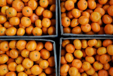 Врач-диетолог рассказала, кому нельзя есть мандарины