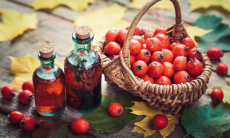 Плоды этого дерева нормализуют давление, укрепляют сердечный клапан, улучшают кровообращение и очищают сосуды