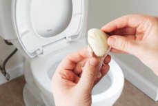 Для чего нужно бросать в унитаз зубчик чеснока