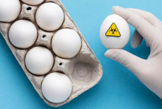 Можно ли есть яйца, если высокий холестерин