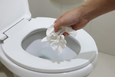 Эти шесть вещей ни в коем случае нельзя смывать в унитаз