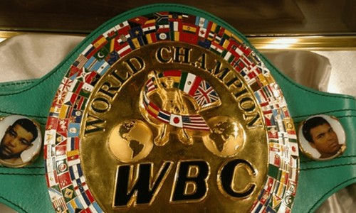 WBC принял официальное решение по бою казахстанского боксера за титул чемпиона мира