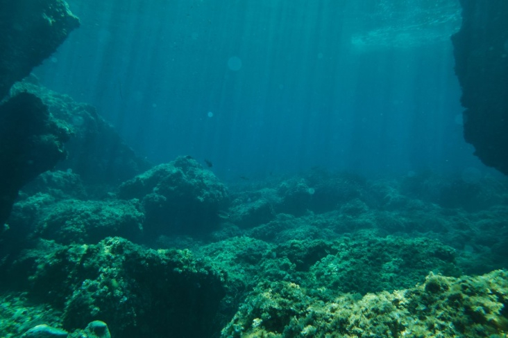 Мужчина несколько месяцев живёт под водой ради мирового рекорда